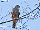 IMG_2628w.jpg