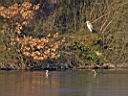 IMG_2733w.jpg