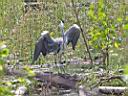 IMG_8276w.jpg